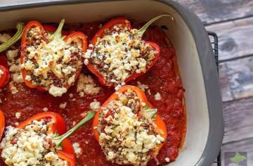 Gefüllte Paprika mit Quinoa und Kräutern